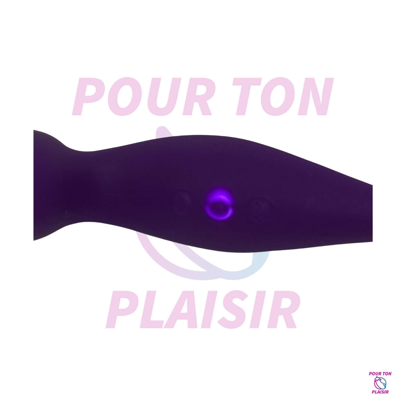 L'oiseau du paradis allumé
