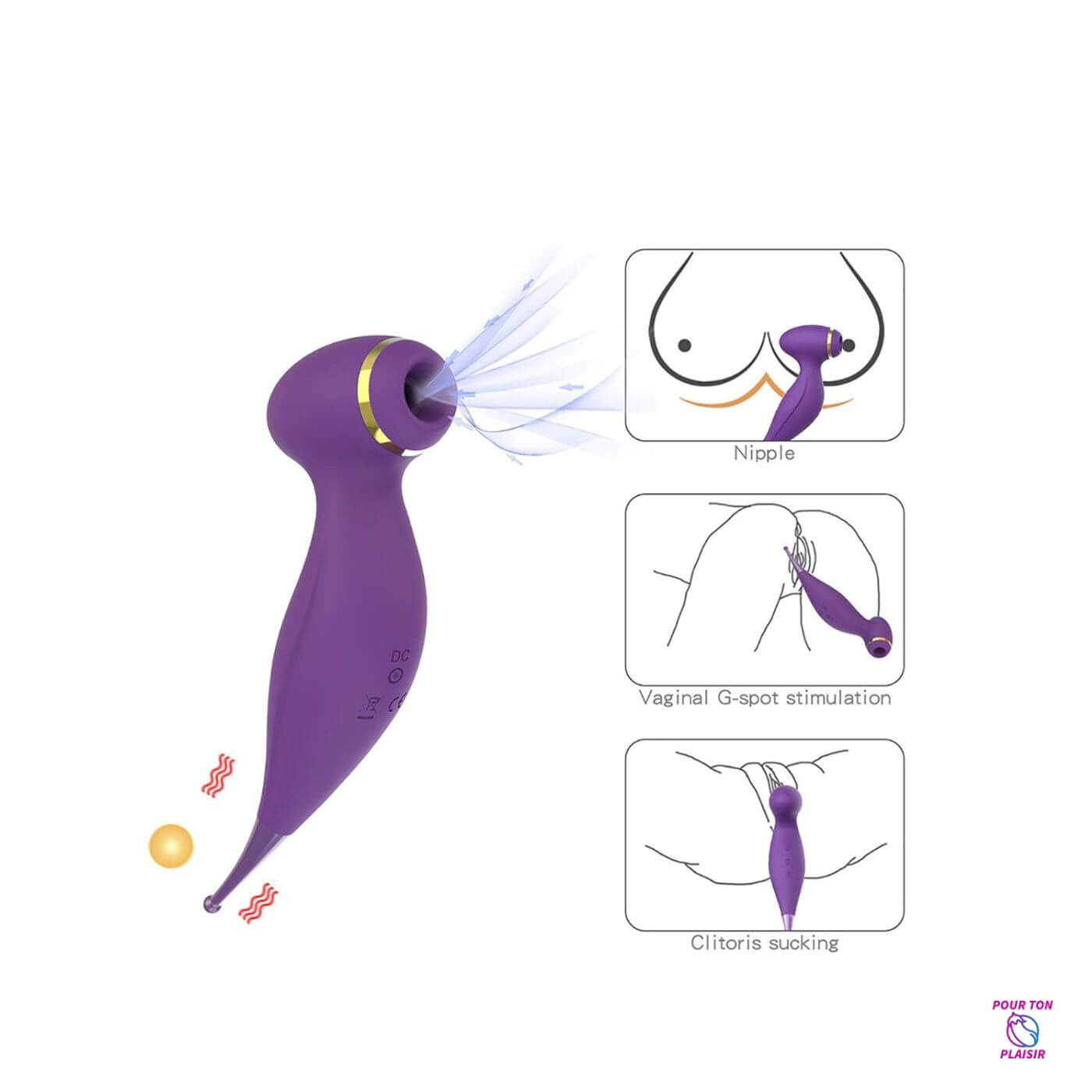 Utilisation oiseau du paradis